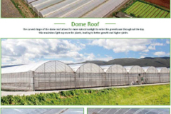 green house, green house indonesia, rumah kaca, rumah kaca indonesia, greenhouse Indonesia, Produksi Greenhouse, Produksi Green house, pabrik Greenhouse, pabrik Green house, supplier greenhouse, supplier green house, distributor greenhouse, distributor green house, jual greenhouse, jual green house, harga greenhouse, harga green house, greenhouse murah, green house murah, greenhouse terdekat, green house terdekat, Greenhouse pertanian, Green house pertanian, Sistem greenhouse, Sistem green house, Greenhouse modern, Green house modern, Greenhouse untuk pertanian hidroponik, Green house untuk pertanian hidroponik, Greenhouse pertanian hidroponik, Green house pertanian hidroponik, Produksi greenhouse di Indonesia, Produksi green house di Indonesia, Produksi greenhouse Indonesia, Produksi green house Indonesia, Sistem greenhouse untuk tanaman sayuran, Sistem green house untuk tanaman sayuran, Sistem greenhouse tanaman sayuran, Sistem green house tanaman sayuran, Greenhouse otomatis, Green house otomatis, Greenhouse untuk tanaman buah, Green house untuk tanaman buah, Greenhouse tanaman buah, Green house tanaman buah, Greenhouse di Jakarta, Green house di Jakarta, Greenhouse Jakarta, Green house Jakarta, Produksi greenhouse di Jawa Barat, Produksi green house di Jawa Barat, Greenhouse pertanian di Indonesia, Green house pertanian di Indonesia, Sistem greenhouse untuk pertanian di daerah tropis, Sistem green house untuk pertanian di daerah tropis, Greenhouse untuk pertanian vertikal, Green house untuk pertanian vertikal, Greenhouse pertanian vertikal, Green house pertanian vertikal, Sistem greenhouse untuk tanaman hias, Sistem green house untuk tanaman hias, Sistem greenhouse tanaman hias, Sistem green house tanaman hias, Greenhouse otomatis untuk pertanian, Green house otomatis untuk pertanian,  Green house otomatis pertanian, Green house otomatis pertanian, Greenhouse pintar untuk pertanian modern, Green house pintar untuk pertanian modern, Greenhouse pintar pertanian modern, Green house pintar pertanian modern, green house adalah, greenhouse adalah, produk green house, produk greenhouse, green house hidroponik, greenhouse hidroponik, green house jember, green house sidoarjo, green house surabaya, green house di surabaya, green house malang, green house di malang, green house di sidoarjo, green house lamongan, green house fisiologi, green house tanaman, green house lamongan, green house bojonegoro, green house tuban, green house mojokerto, green house jombang, green house banyuwangi, green house jatim, green house jawa timur, green house ngawi, green house magetan, green house madiun, green house lumajang, green house situbondo, green house madura, green house kediri, green house tulungagung, green house bandung, green house jogja, green house bali, green house kalimantan, green house makassar, green house papua, green house irian, green house sulawesi, green house bandung, green house semarang, green house indonesa