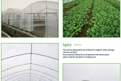 4_Tunnel-Greenhouse