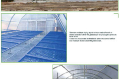 7_Drying-Greenhouse