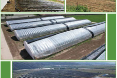 8_Passive-In-Solar-Greenhouse