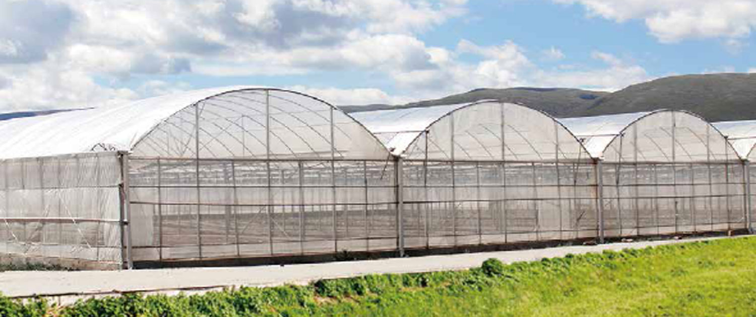 green house, green house indonesia, rumah kaca, rumah kaca indonesia, greenhouse Indonesia, Produksi Greenhouse, Produksi Green house, pabrik Greenhouse, pabrik Green house, supplier greenhouse, supplier green house, distributor greenhouse, distributor green house, jual greenhouse, jual green house, harga greenhouse, harga green house, greenhouse murah, green house murah, greenhouse terdekat, green house terdekat, Greenhouse pertanian, Green house pertanian, Sistem greenhouse, Sistem green house, Greenhouse modern, Green house modern, Greenhouse untuk pertanian hidroponik, Green house untuk pertanian hidroponik, Greenhouse pertanian hidroponik, Green house pertanian hidroponik, Produksi greenhouse di Indonesia, Produksi green house di Indonesia, Produksi greenhouse Indonesia, Produksi green house Indonesia, Sistem greenhouse untuk tanaman sayuran, Sistem green house untuk tanaman sayuran, Sistem greenhouse tanaman sayuran, Sistem green house tanaman sayuran, Greenhouse otomatis, Green house otomatis, Greenhouse untuk tanaman buah, Green house untuk tanaman buah, Greenhouse tanaman buah, Green house tanaman buah, Greenhouse di Jakarta, Green house di Jakarta, Greenhouse Jakarta, Green house Jakarta, Produksi greenhouse di Jawa Barat, Produksi green house di Jawa Barat, Greenhouse pertanian di Indonesia, Green house pertanian di Indonesia, Sistem greenhouse untuk pertanian di daerah tropis, Sistem green house untuk pertanian di daerah tropis, Greenhouse untuk pertanian vertikal, Green house untuk pertanian vertikal, Greenhouse pertanian vertikal, Green house pertanian vertikal, Sistem greenhouse untuk tanaman hias, Sistem green house untuk tanaman hias, Sistem greenhouse tanaman hias, Sistem green house tanaman hias, Greenhouse otomatis untuk pertanian, Green house otomatis untuk pertanian,  Green house otomatis pertanian, Green house otomatis pertanian, Greenhouse pintar untuk pertanian modern, Green house pintar untuk pertanian modern, Greenhouse pintar pertanian modern, Green house pintar pertanian modern, green house adalah, greenhouse adalah, produk green house, produk greenhouse, green house hidroponik, greenhouse hidroponik, green house jember, green house sidoarjo, green house surabaya, green house di surabaya, green house malang, green house di malang, green house di sidoarjo, green house lamongan, green house fisiologi, green house tanaman, green house lamongan, green house bojonegoro, green house tuban, green house mojokerto, green house jombang, green house banyuwangi, green house jatim, green house jawa timur, green house ngawi, green house magetan, green house madiun, green house lumajang, green house situbondo, green house madura, green house kediri, green house tulungagung, green house bandung, green house jogja, green house bali, green house kalimantan, green house makassar, green house papua, green house irian, green house sulawesi, green house bandung, green house semarang, green house indonesa