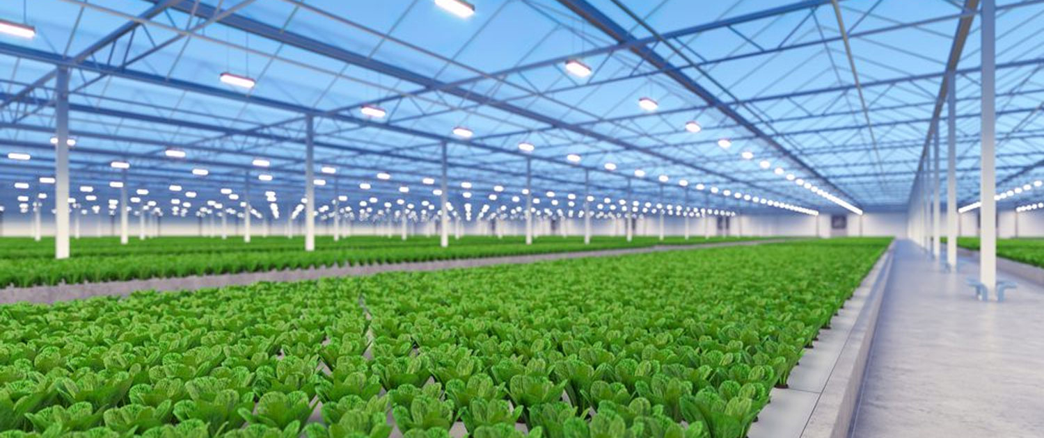 green house, green house indonesia, rumah kaca, rumah kaca indonesia, greenhouse Indonesia, Produksi Greenhouse, Produksi Green house, pabrik Greenhouse, pabrik Green house, supplier greenhouse, supplier green house, distributor greenhouse, distributor green house, jual greenhouse, jual green house, harga greenhouse, harga green house, greenhouse murah, green house murah, greenhouse terdekat, green house terdekat, Greenhouse pertanian, Green house pertanian, Sistem greenhouse, Sistem green house, Greenhouse modern, Green house modern, Greenhouse untuk pertanian hidroponik, Green house untuk pertanian hidroponik, Greenhouse pertanian hidroponik, Green house pertanian hidroponik, Produksi greenhouse di Indonesia, Produksi green house di Indonesia, Produksi greenhouse Indonesia, Produksi green house Indonesia, Sistem greenhouse untuk tanaman sayuran, Sistem green house untuk tanaman sayuran, Sistem greenhouse tanaman sayuran, Sistem green house tanaman sayuran, Greenhouse otomatis, Green house otomatis, Greenhouse untuk tanaman buah, Green house untuk tanaman buah, Greenhouse tanaman buah, Green house tanaman buah, Greenhouse di Jakarta, Green house di Jakarta, Greenhouse Jakarta, Green house Jakarta, Produksi greenhouse di Jawa Barat, Produksi green house di Jawa Barat, Greenhouse pertanian di Indonesia, Green house pertanian di Indonesia, Sistem greenhouse untuk pertanian di daerah tropis, Sistem green house untuk pertanian di daerah tropis, Greenhouse untuk pertanian vertikal, Green house untuk pertanian vertikal, Greenhouse pertanian vertikal, Green house pertanian vertikal, Sistem greenhouse untuk tanaman hias, Sistem green house untuk tanaman hias, Sistem greenhouse tanaman hias, Sistem green house tanaman hias, Greenhouse otomatis untuk pertanian, Green house otomatis untuk pertanian,  Green house otomatis pertanian, Green house otomatis pertanian, Greenhouse pintar untuk pertanian modern, Green house pintar untuk pertanian modern, Greenhouse pintar pertanian modern, Green house pintar pertanian modern, green house adalah, greenhouse adalah, produk green house, produk greenhouse, green house hidroponik, greenhouse hidroponik, green house jember, green house sidoarjo, green house surabaya, green house di surabaya, green house malang, green house di malang, green house di sidoarjo, green house lamongan, green house fisiologi, green house tanaman, green house lamongan, green house bojonegoro, green house tuban, green house mojokerto, green house jombang, green house banyuwangi, green house jatim, green house jawa timur, green house ngawi, green house magetan, green house madiun, green house lumajang, green house situbondo, green house madura, green house kediri, green house tulungagung, green house bandung, green house jogja, green house bali, green house kalimantan, green house makassar, green house papua, green house irian, green house sulawesi, green house bandung, green house semarang, green house indonesa
