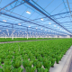 green house, green house indonesia, rumah kaca, rumah kaca indonesia, greenhouse Indonesia, Produksi Greenhouse, Produksi Green house, pabrik Greenhouse, pabrik Green house, supplier greenhouse, supplier green house, distributor greenhouse, distributor green house, jual greenhouse, jual green house, harga greenhouse, harga green house, greenhouse murah, green house murah, greenhouse terdekat, green house terdekat, Greenhouse pertanian, Green house pertanian, Sistem greenhouse, Sistem green house, Greenhouse modern, Green house modern, Greenhouse untuk pertanian hidroponik, Green house untuk pertanian hidroponik, Greenhouse pertanian hidroponik, Green house pertanian hidroponik, Produksi greenhouse di Indonesia, Produksi green house di Indonesia, Produksi greenhouse Indonesia, Produksi green house Indonesia, Sistem greenhouse untuk tanaman sayuran, Sistem green house untuk tanaman sayuran, Sistem greenhouse tanaman sayuran, Sistem green house tanaman sayuran, Greenhouse otomatis, Green house otomatis, Greenhouse untuk tanaman buah, Green house untuk tanaman buah, Greenhouse tanaman buah, Green house tanaman buah, Greenhouse di Jakarta, Green house di Jakarta, Greenhouse Jakarta, Green house Jakarta, Produksi greenhouse di Jawa Barat, Produksi green house di Jawa Barat, Greenhouse pertanian di Indonesia, Green house pertanian di Indonesia, Sistem greenhouse untuk pertanian di daerah tropis, Sistem green house untuk pertanian di daerah tropis, Greenhouse untuk pertanian vertikal, Green house untuk pertanian vertikal, Greenhouse pertanian vertikal, Green house pertanian vertikal, Sistem greenhouse untuk tanaman hias, Sistem green house untuk tanaman hias, Sistem greenhouse tanaman hias, Sistem green house tanaman hias, Greenhouse otomatis untuk pertanian, Green house otomatis untuk pertanian,  Green house otomatis pertanian, Green house otomatis pertanian, Greenhouse pintar untuk pertanian modern, Green house pintar untuk pertanian modern, Greenhouse pintar pertanian modern, Green house pintar pertanian modern, green house adalah, greenhouse adalah, produk green house, produk greenhouse, green house hidroponik, greenhouse hidroponik, green house jember, green house sidoarjo, green house surabaya, green house di surabaya, green house malang, green house di malang, green house di sidoarjo, green house lamongan, green house fisiologi, green house tanaman, green house lamongan, green house bojonegoro, green house tuban, green house mojokerto, green house jombang, green house banyuwangi, green house jatim, green house jawa timur, green house ngawi, green house magetan, green house madiun, green house lumajang, green house situbondo, green house madura, green house kediri, green house tulungagung, green house bandung, green house jogja, green house bali, green house kalimantan, green house makassar, green house papua, green house irian, green house sulawesi, green house bandung, green house semarang, green house indonesa