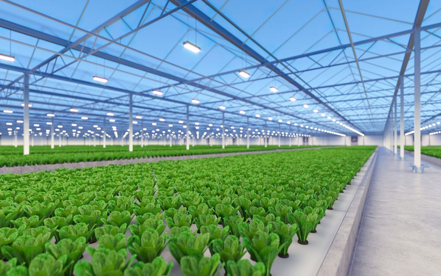 green house, green house indonesia, rumah kaca, rumah kaca indonesia, greenhouse Indonesia, Produksi Greenhouse, Produksi Green house, pabrik Greenhouse, pabrik Green house, supplier greenhouse, supplier green house, distributor greenhouse, distributor green house, jual greenhouse, jual green house, harga greenhouse, harga green house, greenhouse murah, green house murah, greenhouse terdekat, green house terdekat, Greenhouse pertanian, Green house pertanian, Sistem greenhouse, Sistem green house, Greenhouse modern, Green house modern, Greenhouse untuk pertanian hidroponik, Green house untuk pertanian hidroponik, Greenhouse pertanian hidroponik, Green house pertanian hidroponik, Produksi greenhouse di Indonesia, Produksi green house di Indonesia, Produksi greenhouse Indonesia, Produksi green house Indonesia, Sistem greenhouse untuk tanaman sayuran, Sistem green house untuk tanaman sayuran, Sistem greenhouse tanaman sayuran, Sistem green house tanaman sayuran, Greenhouse otomatis, Green house otomatis, Greenhouse untuk tanaman buah, Green house untuk tanaman buah, Greenhouse tanaman buah, Green house tanaman buah, Greenhouse di Jakarta, Green house di Jakarta, Greenhouse Jakarta, Green house Jakarta, Produksi greenhouse di Jawa Barat, Produksi green house di Jawa Barat, Greenhouse pertanian di Indonesia, Green house pertanian di Indonesia, Sistem greenhouse untuk pertanian di daerah tropis, Sistem green house untuk pertanian di daerah tropis, Greenhouse untuk pertanian vertikal, Green house untuk pertanian vertikal, Greenhouse pertanian vertikal, Green house pertanian vertikal, Sistem greenhouse untuk tanaman hias, Sistem green house untuk tanaman hias, Sistem greenhouse tanaman hias, Sistem green house tanaman hias, Greenhouse otomatis untuk pertanian, Green house otomatis untuk pertanian, &nbsp;Green house otomatis pertanian, Green house otomatis pertanian, Greenhouse pintar untuk pertanian modern, Green house pintar untuk pertanian modern, Greenhouse pintar pertanian modern, Green house pintar pertanian modern, green house adalah, greenhouse adalah, produk green house, produk greenhouse, green house hidroponik, greenhouse hidroponik, green house jember, green house sidoarjo, green house surabaya, green house di surabaya, green house malang, green house di malang, green house di sidoarjo, green house lamongan, green house fisiologi, green house tanaman, green house lamongan, green house bojonegoro, green house tuban, green house mojokerto, green house jombang, green house banyuwangi, green house jatim, green house jawa timur, green house ngawi, green house magetan, green house madiun, green house lumajang, green house situbondo, green house madura, green house kediri, green house tulungagung, green house bandung, green house jogja, green house bali, green house kalimantan, green house makassar, green house papua, green house irian, green house sulawesi, green house bandung, green house semarang, green house indonesa