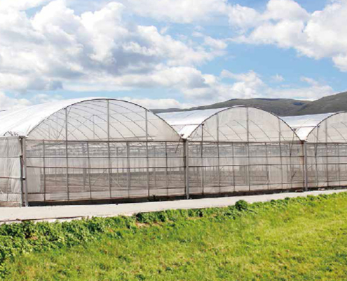 green house, green house indonesia, rumah kaca, rumah kaca indonesia, greenhouse Indonesia, Produksi Greenhouse, Produksi Green house, pabrik Greenhouse, pabrik Green house, supplier greenhouse, supplier green house, distributor greenhouse, distributor green house, jual greenhouse, jual green house, harga greenhouse, harga green house, greenhouse murah, green house murah, greenhouse terdekat, green house terdekat, Greenhouse pertanian, Green house pertanian, Sistem greenhouse, Sistem green house, Greenhouse modern, Green house modern, Greenhouse untuk pertanian hidroponik, Green house untuk pertanian hidroponik, Greenhouse pertanian hidroponik, Green house pertanian hidroponik, Produksi greenhouse di Indonesia, Produksi green house di Indonesia, Produksi greenhouse Indonesia, Produksi green house Indonesia, Sistem greenhouse untuk tanaman sayuran, Sistem green house untuk tanaman sayuran, Sistem greenhouse tanaman sayuran, Sistem green house tanaman sayuran, Greenhouse otomatis, Green house otomatis, Greenhouse untuk tanaman buah, Green house untuk tanaman buah, Greenhouse tanaman buah, Green house tanaman buah, Greenhouse di Jakarta, Green house di Jakarta, Greenhouse Jakarta, Green house Jakarta, Produksi greenhouse di Jawa Barat, Produksi green house di Jawa Barat, Greenhouse pertanian di Indonesia, Green house pertanian di Indonesia, Sistem greenhouse untuk pertanian di daerah tropis, Sistem green house untuk pertanian di daerah tropis, Greenhouse untuk pertanian vertikal, Green house untuk pertanian vertikal, Greenhouse pertanian vertikal, Green house pertanian vertikal, Sistem greenhouse untuk tanaman hias, Sistem green house untuk tanaman hias, Sistem greenhouse tanaman hias, Sistem green house tanaman hias, Greenhouse otomatis untuk pertanian, Green house otomatis untuk pertanian,  Green house otomatis pertanian, Green house otomatis pertanian, Greenhouse pintar untuk pertanian modern, Green house pintar untuk pertanian modern, Greenhouse pintar pertanian modern, Green house pintar pertanian modern, green house adalah, greenhouse adalah, produk green house, produk greenhouse, green house hidroponik, greenhouse hidroponik, green house jember, green house sidoarjo, green house surabaya, green house di surabaya, green house malang, green house di malang, green house di sidoarjo, green house lamongan, green house fisiologi, green house tanaman, green house lamongan, green house bojonegoro, green house tuban, green house mojokerto, green house jombang, green house banyuwangi, green house jatim, green house jawa timur, green house ngawi, green house magetan, green house madiun, green house lumajang, green house situbondo, green house madura, green house kediri, green house tulungagung, green house bandung, green house jogja, green house bali, green house kalimantan, green house makassar, green house papua, green house irian, green house sulawesi, green house bandung, green house semarang, green house indonesa