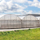 green house, green house indonesia, rumah kaca, rumah kaca indonesia, greenhouse Indonesia, Produksi Greenhouse, Produksi Green house, pabrik Greenhouse, pabrik Green house, supplier greenhouse, supplier green house, distributor greenhouse, distributor green house, jual greenhouse, jual green house, harga greenhouse, harga green house, greenhouse murah, green house murah, greenhouse terdekat, green house terdekat, Greenhouse pertanian, Green house pertanian, Sistem greenhouse, Sistem green house, Greenhouse modern, Green house modern, Greenhouse untuk pertanian hidroponik, Green house untuk pertanian hidroponik, Greenhouse pertanian hidroponik, Green house pertanian hidroponik, Produksi greenhouse di Indonesia, Produksi green house di Indonesia, Produksi greenhouse Indonesia, Produksi green house Indonesia, Sistem greenhouse untuk tanaman sayuran, Sistem green house untuk tanaman sayuran, Sistem greenhouse tanaman sayuran, Sistem green house tanaman sayuran, Greenhouse otomatis, Green house otomatis, Greenhouse untuk tanaman buah, Green house untuk tanaman buah, Greenhouse tanaman buah, Green house tanaman buah, Greenhouse di Jakarta, Green house di Jakarta, Greenhouse Jakarta, Green house Jakarta, Produksi greenhouse di Jawa Barat, Produksi green house di Jawa Barat, Greenhouse pertanian di Indonesia, Green house pertanian di Indonesia, Sistem greenhouse untuk pertanian di daerah tropis, Sistem green house untuk pertanian di daerah tropis, Greenhouse untuk pertanian vertikal, Green house untuk pertanian vertikal, Greenhouse pertanian vertikal, Green house pertanian vertikal, Sistem greenhouse untuk tanaman hias, Sistem green house untuk tanaman hias, Sistem greenhouse tanaman hias, Sistem green house tanaman hias, Greenhouse otomatis untuk pertanian, Green house otomatis untuk pertanian,  Green house otomatis pertanian, Green house otomatis pertanian, Greenhouse pintar untuk pertanian modern, Green house pintar untuk pertanian modern, Greenhouse pintar pertanian modern, Green house pintar pertanian modern, green house adalah, greenhouse adalah, produk green house, produk greenhouse, green house hidroponik, greenhouse hidroponik, green house jember, green house sidoarjo, green house surabaya, green house di surabaya, green house malang, green house di malang, green house di sidoarjo, green house lamongan, green house fisiologi, green house tanaman, green house lamongan, green house bojonegoro, green house tuban, green house mojokerto, green house jombang, green house banyuwangi, green house jatim, green house jawa timur, green house ngawi, green house magetan, green house madiun, green house lumajang, green house situbondo, green house madura, green house kediri, green house tulungagung, green house bandung, green house jogja, green house bali, green house kalimantan, green house makassar, green house papua, green house irian, green house sulawesi, green house bandung, green house semarang, green house indonesa