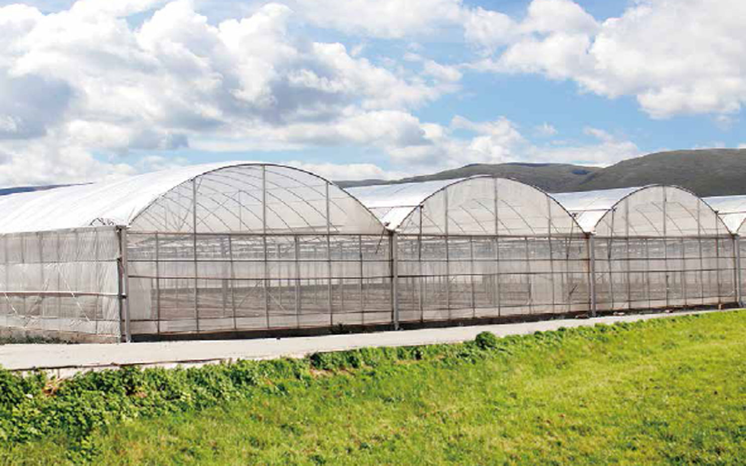 green house, green house indonesia, rumah kaca, rumah kaca indonesia, greenhouse Indonesia, Produksi Greenhouse, Produksi Green house, pabrik Greenhouse, pabrik Green house, supplier greenhouse, supplier green house, distributor greenhouse, distributor green house, jual greenhouse, jual green house, harga greenhouse, harga green house, greenhouse murah, green house murah, greenhouse terdekat, green house terdekat, Greenhouse pertanian, Green house pertanian, Sistem greenhouse, Sistem green house, Greenhouse modern, Green house modern, Greenhouse untuk pertanian hidroponik, Green house untuk pertanian hidroponik, Greenhouse pertanian hidroponik, Green house pertanian hidroponik, Produksi greenhouse di Indonesia, Produksi green house di Indonesia, Produksi greenhouse Indonesia, Produksi green house Indonesia, Sistem greenhouse untuk tanaman sayuran, Sistem green house untuk tanaman sayuran, Sistem greenhouse tanaman sayuran, Sistem green house tanaman sayuran, Greenhouse otomatis, Green house otomatis, Greenhouse untuk tanaman buah, Green house untuk tanaman buah, Greenhouse tanaman buah, Green house tanaman buah, Greenhouse di Jakarta, Green house di Jakarta, Greenhouse Jakarta, Green house Jakarta, Produksi greenhouse di Jawa Barat, Produksi green house di Jawa Barat, Greenhouse pertanian di Indonesia, Green house pertanian di Indonesia, Sistem greenhouse untuk pertanian di daerah tropis, Sistem green house untuk pertanian di daerah tropis, Greenhouse untuk pertanian vertikal, Green house untuk pertanian vertikal, Greenhouse pertanian vertikal, Green house pertanian vertikal, Sistem greenhouse untuk tanaman hias, Sistem green house untuk tanaman hias, Sistem greenhouse tanaman hias, Sistem green house tanaman hias, Greenhouse otomatis untuk pertanian, Green house otomatis untuk pertanian, &nbsp;Green house otomatis pertanian, Green house otomatis pertanian, Greenhouse pintar untuk pertanian modern, Green house pintar untuk pertanian modern, Greenhouse pintar pertanian modern, Green house pintar pertanian modern, green house adalah, greenhouse adalah, produk green house, produk greenhouse, green house hidroponik, greenhouse hidroponik, green house jember, green house sidoarjo, green house surabaya, green house di surabaya, green house malang, green house di malang, green house di sidoarjo, green house lamongan, green house fisiologi, green house tanaman, green house lamongan, green house bojonegoro, green house tuban, green house mojokerto, green house jombang, green house banyuwangi, green house jatim, green house jawa timur, green house ngawi, green house magetan, green house madiun, green house lumajang, green house situbondo, green house madura, green house kediri, green house tulungagung, green house bandung, green house jogja, green house bali, green house kalimantan, green house makassar, green house papua, green house irian, green house sulawgreen house, green house indonesia, rumah kaca, rumah kaca indonesia, greenhouse Indonesia, Produksi Greenhouse, Produksi Green house, pabrik Greenhouse, pabrik Green house, supplier greenhouse, supplier green house, distributor greenhouse, distributor green house, jual greenhouse, jual green house, harga greenhouse, harga green house, greenhouse murah, green house murah, greenhouse terdekat, green house terdekat, Greenhouse pertanian, Green house pertanian, Sistem greenhouse, Sistem green house, Greenhouse modern, Green house modern, Greenhouse untuk pertanian hidroponik, Green house untuk pertanian hidroponik, Greenhouse pertanian hidroponik, Green house pertanian hidroponik, Produksi greenhouse di Indonesia, Produksi green house di Indonesia, Produksi greenhouse Indonesia, Produksi green house Indonesia, Sistem greenhouse untuk tanaman sayuran, Sistem green house untuk tanaman sayuran, Sistem greenhouse tanaman sayuran, Sistem green house tanaman sayuran, Greenhouse otomatis, Green house otomatis, Greenhouse untuk tanaman buah, Green house untuk tanaman buah, Greenhouse tanaman buah, Green house tanaman buah, Greenhouse di Jakarta, Green house di Jakarta, Greenhouse Jakarta, Green house Jakarta, Produksi greenhouse di Jawa Barat, Produksi green house di Jawa Barat, Greenhouse pertanian di Indonesia, Green house pertanian di Indonesia, Sistem greenhouse untuk pertanian di daerah tropis, Sistem green house untuk pertanian di daerah tropis, Greenhouse untuk pertanian vertikal, Green house untuk pertanian vertikal, Greenhouse pertanian vertikal, Green house pertanian vertikal, Sistem greenhouse untuk tanaman hias, Sistem green house untuk tanaman hias, Sistem greenhouse tanaman hias, Sistem green house tanaman hias, Greenhouse otomatis untuk pertanian, Green house otomatis untuk pertanian, &nbsp;Green house otomatis pertanian, Green house otomatis pertanian, Greenhouse pintar untuk pertanian modern, Green house pintar untuk pertanian modern, Greenhouse pintar pertanian modern, Green house pintar pertanian modern, green house adalah, greenhouse adalah, produk green house, produk greenhouse, green house hidroponik, greenhouse hidroponik, green house jember, green house sidoarjo, green house surabaya, green house di surabaya, green house malang, green house di malang, green house di sidoarjo, green house lamongan, green house fisiologi, green house tanaman, green house lamongan, green house bojonegoro, green house tuban, green house mojokerto, green house jombang, green house banyuwangi, green house jatim, green house jawa timur, green house ngawi, green house magetan, green house madiun, green house lumajang, green house situbondo, green house madura, green house kediri, green house tulungagung, green house bandung, green house jogja, green house bali, green house kalimantan, green house makassar, green house papua, green house irian, green house sulawesi, green house bandung, green house semarang, green house indonesaesi, green house bandung, green house semarang, green house indonesa